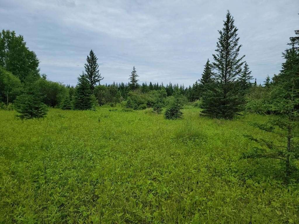 40 Acres of Land for Sale in Angora, Minnesota