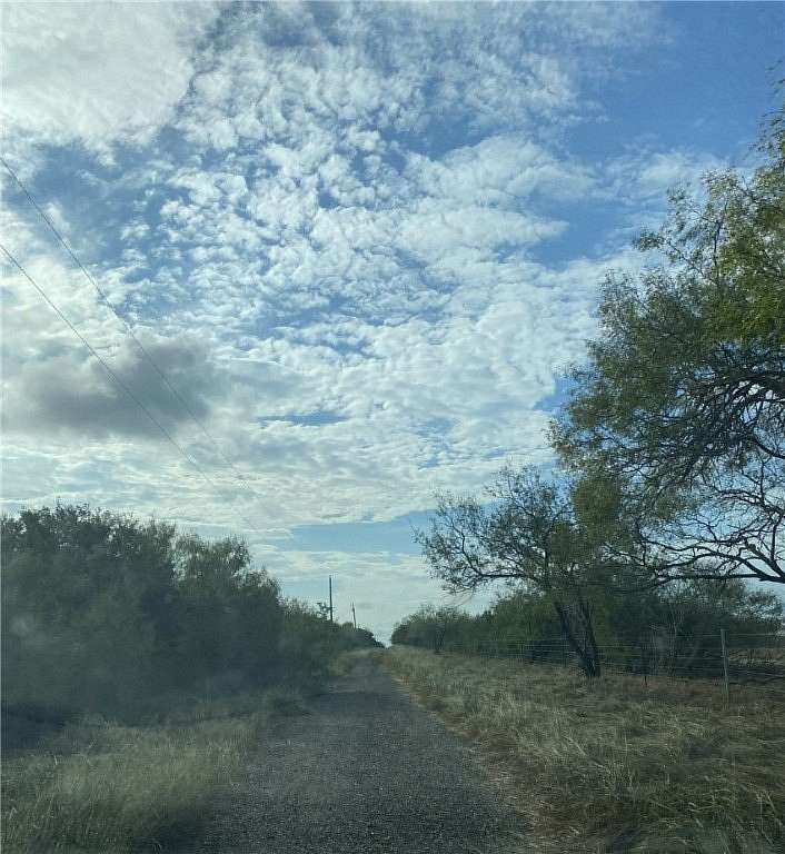 4 Acres of Residential Land for Sale in Alice, Texas