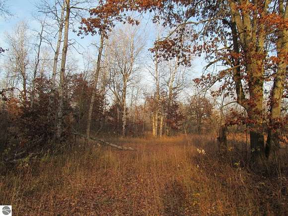 59.25 Acres of Recreational Land for Sale in Marion, Michigan