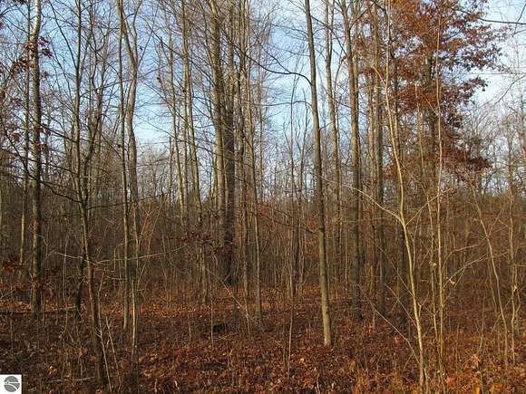 59.25 Acres of Recreational Land for Sale in Marion, Michigan