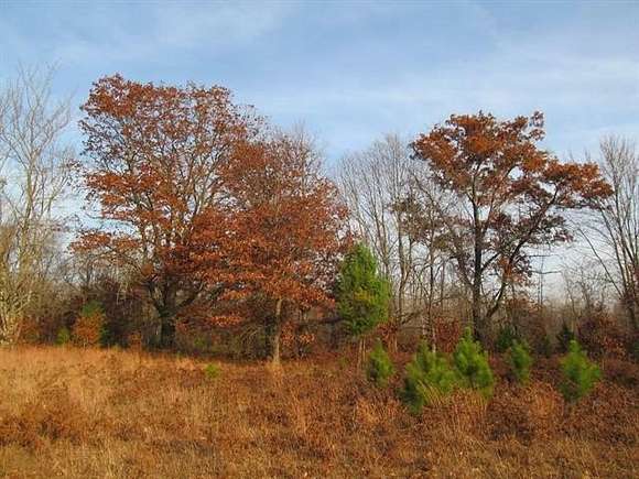 118 Acres of Recreational Land for Sale in Redding Township, Michigan