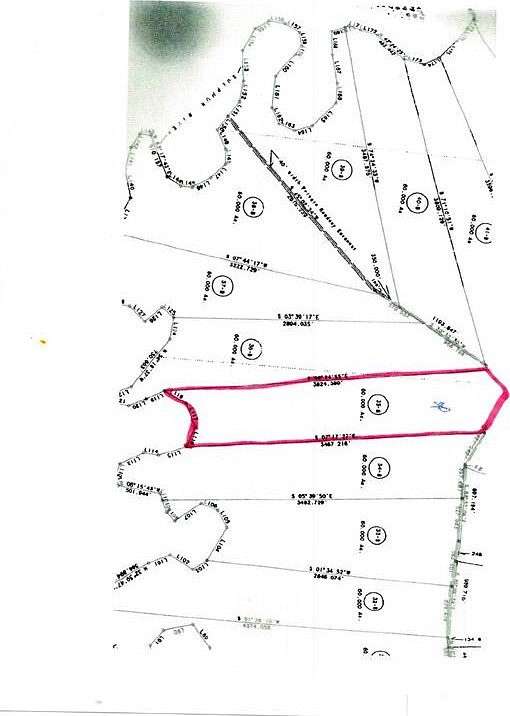 65.356 Acres of Recreational Land for Sale in Avery, Texas