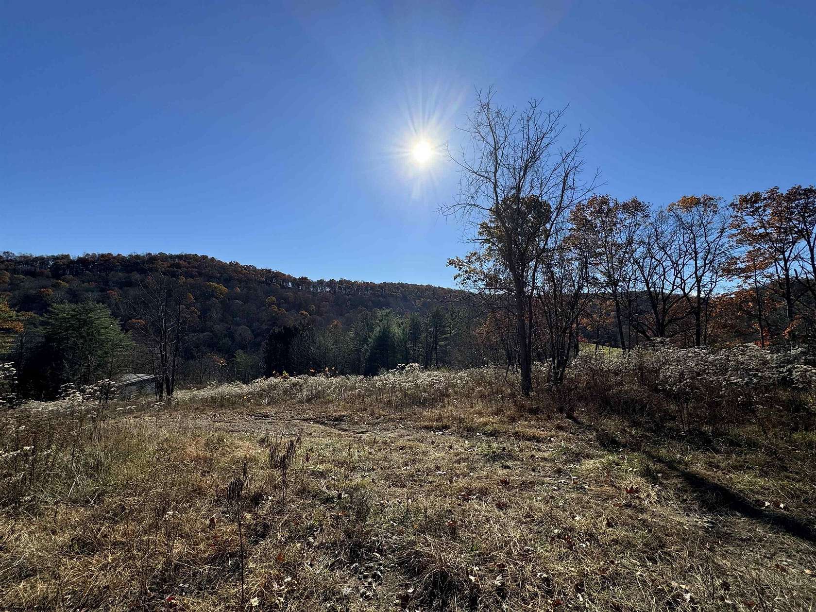 60.5 Acres of Recreational Land & Farm for Sale in Salem, West Virginia