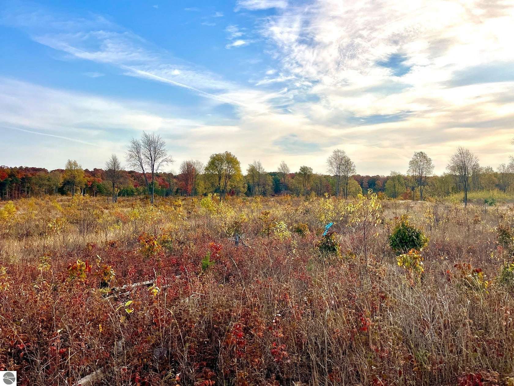 5 Acres of Residential Land for Sale in Maple City, Michigan