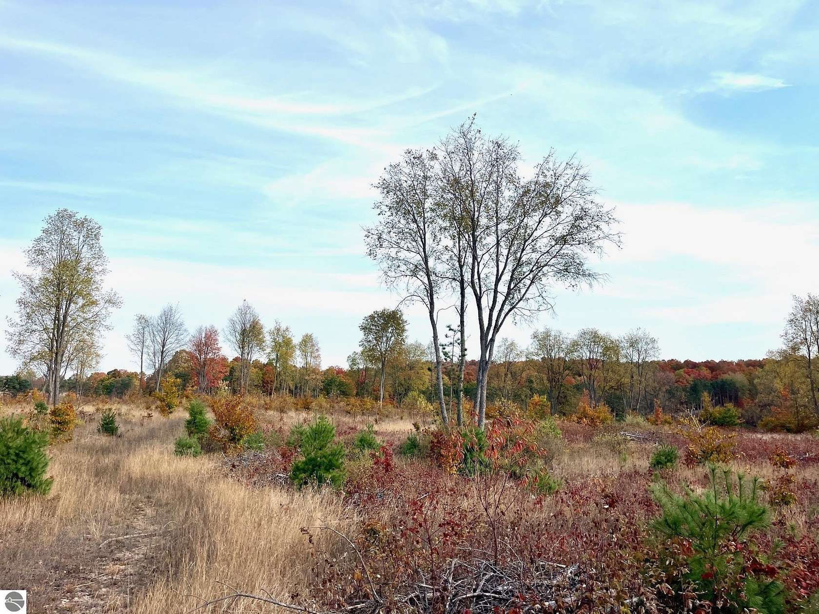 10.01 Acres of Land for Sale in Maple City, Michigan