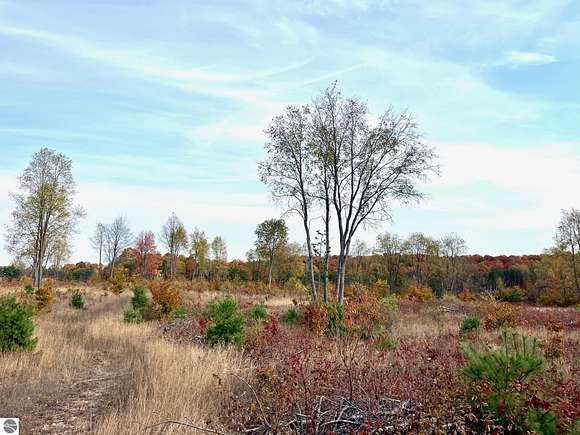 10.01 Acres of Land for Sale in Maple City, Michigan