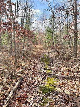 3.69 Acres of Land for Sale in Indian River, Michigan