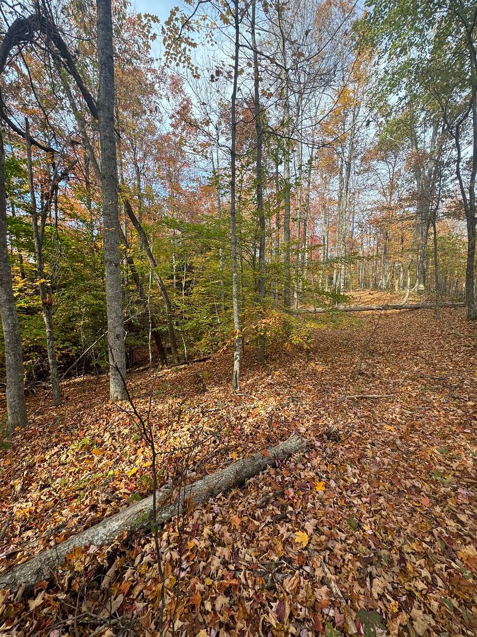 100 Acres of Recreational Land for Sale in Morehead, Kentucky