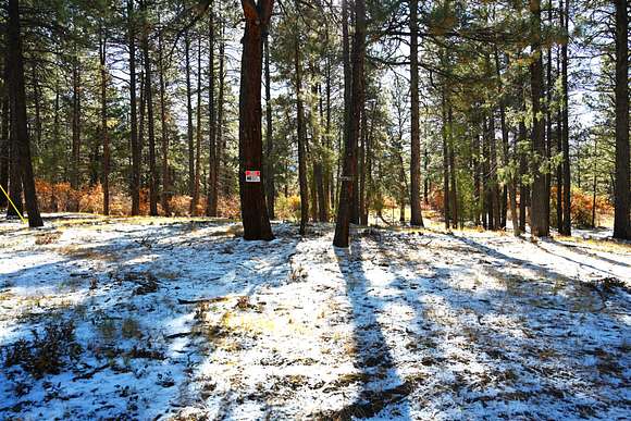 1 Acre of Land for Sale in Chama, New Mexico