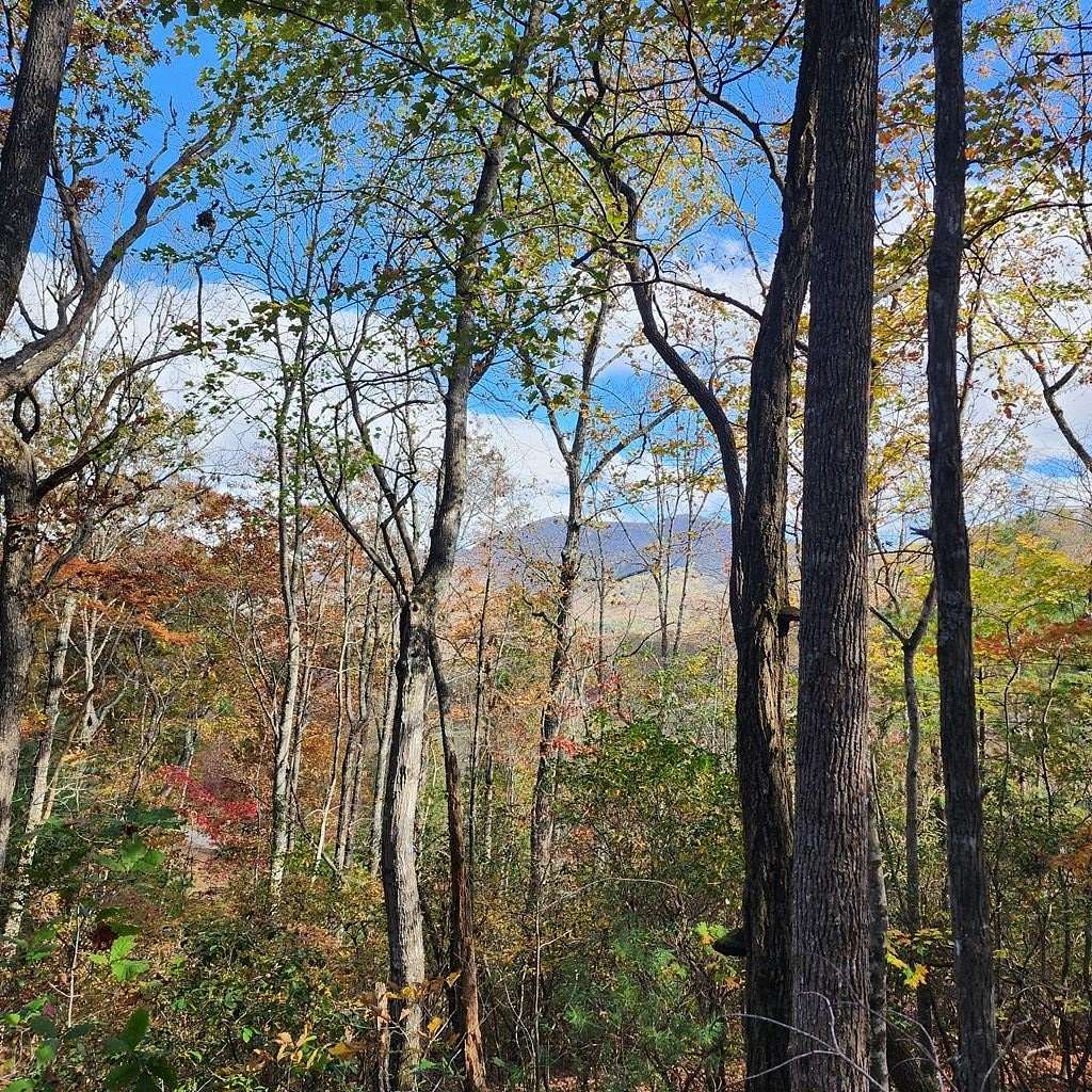 1.215 Acres of Residential Land for Sale in Hiawassee, Georgia