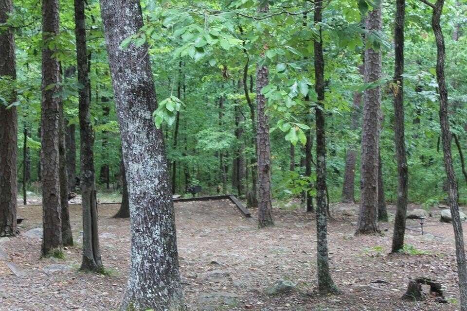 24.71 Acres of Land for Sale in Benton, Tennessee