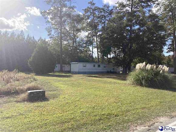 9.47 Acres of Residential Land for Sale in Hamer, South Carolina