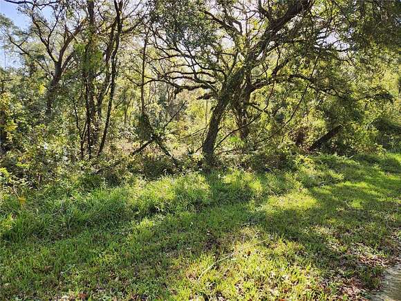 1.16 Acres of Residential Land for Sale in Webster, Florida