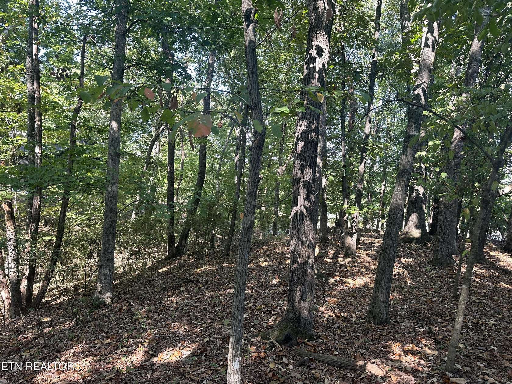 0.32 Acres of Residential Land for Sale in Loudon, Tennessee