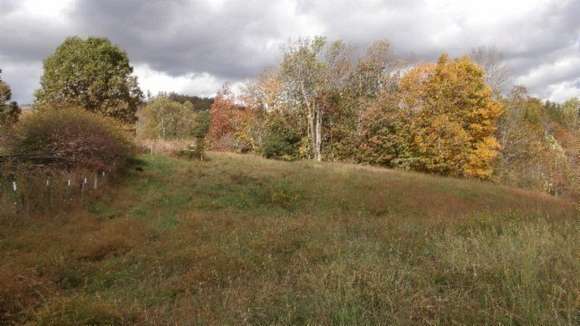 12.5 Acres of Land for Sale in Celina, Tennessee