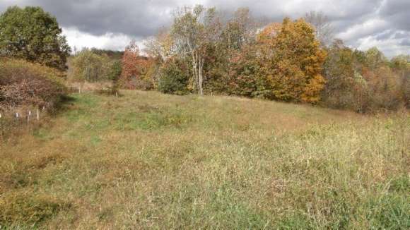 12.5 Acres of Land for Sale in Celina, Tennessee