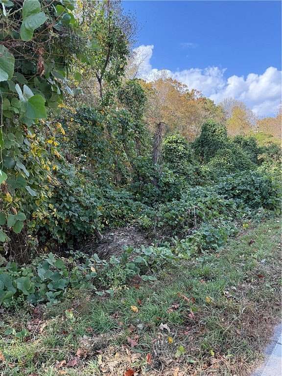 5.7 Acres of Agricultural Land for Sale in Pendleton, South Carolina