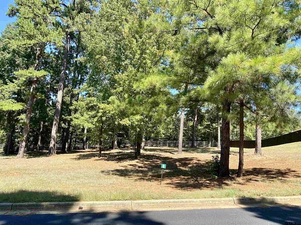 0.41 Acres of Residential Land for Sale in Frankston, Texas