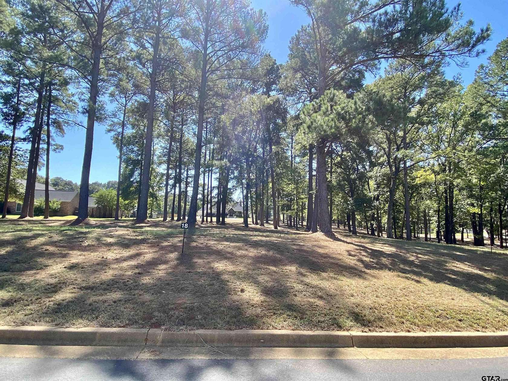 0.42 Acres of Residential Land for Sale in Frankston, Texas