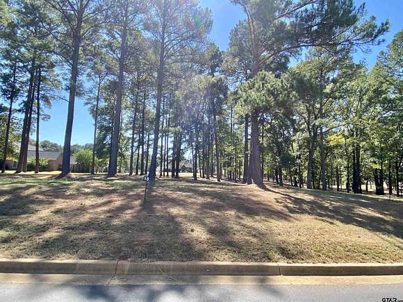 0.424 Acres of Residential Land for Sale in Frankston, Texas