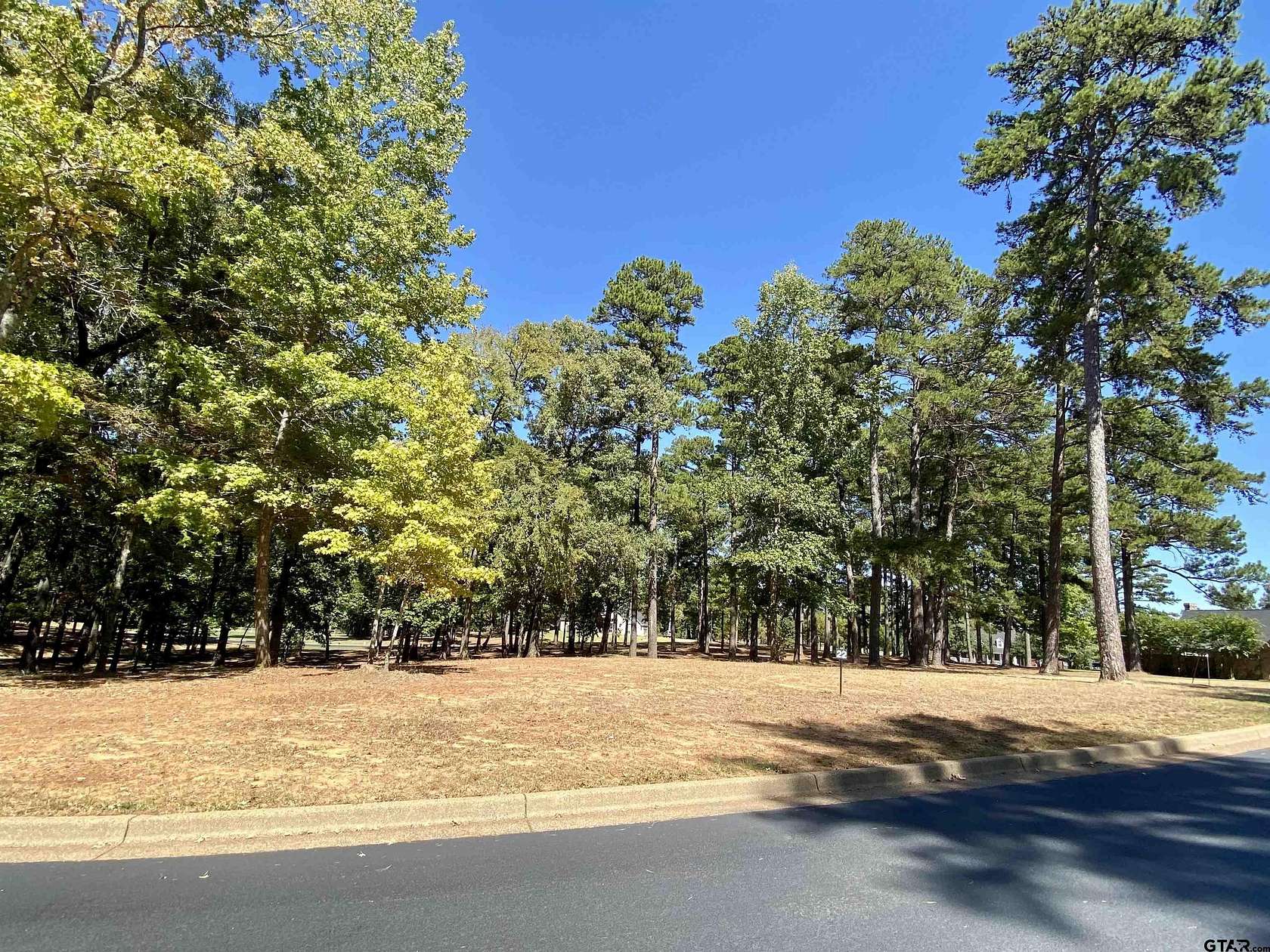 0.44 Acres of Residential Land for Sale in Frankston, Texas