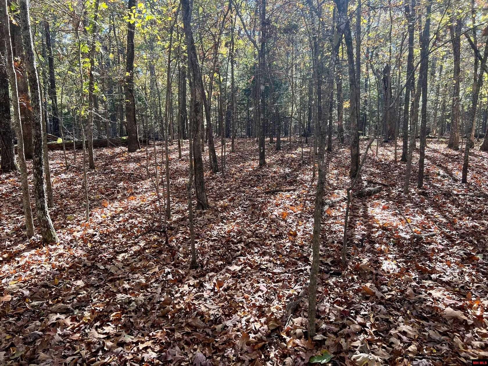 0.76 Acres of Residential Land for Sale in Bull Shoals, Arkansas