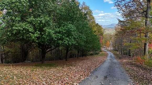 7.29 Acres of Land for Sale in Morganton, Georgia