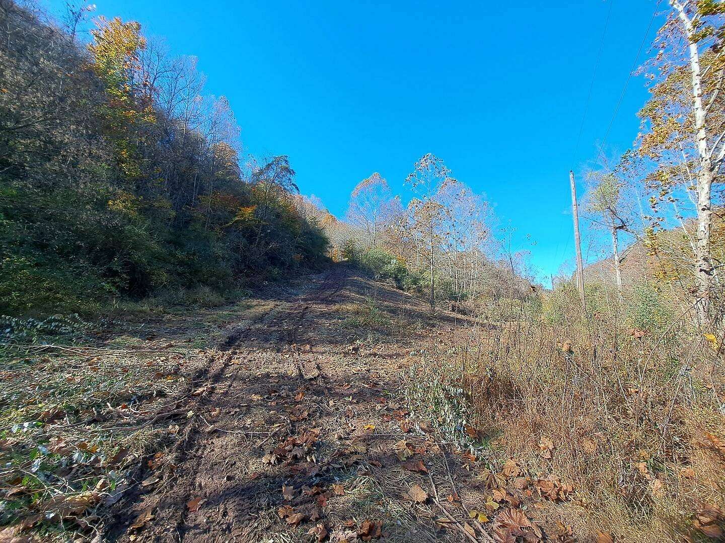 84.23 Acres of Land for Sale in Exchange, West Virginia