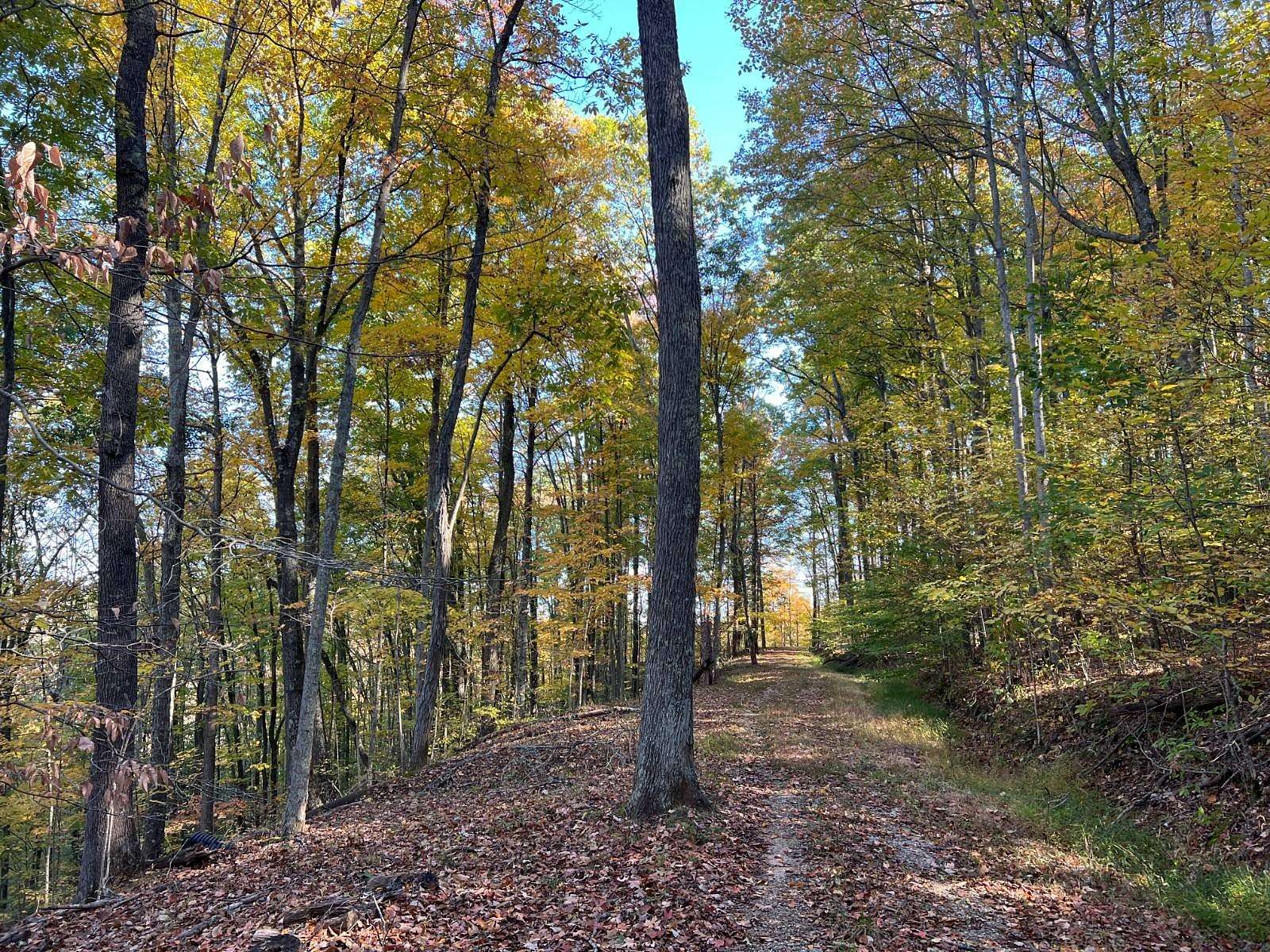 35 Acres of Recreational Land for Auction in Walton, West Virginia