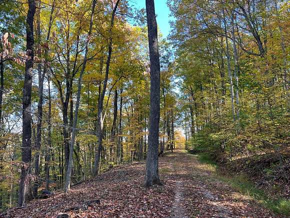 35 Acres of Recreational Land for Auction in Walton, West Virginia