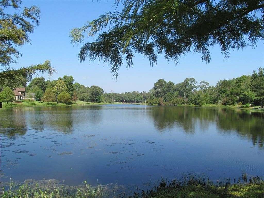 0.533 Acres of Residential Land for Sale in Mineola, Texas