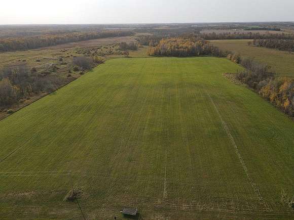 40 Acres of Agricultural Land for Sale in Aldrich, Minnesota