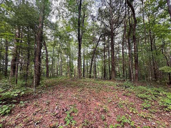 5.64 Acres of Residential Land for Sale in Ellijay, Georgia