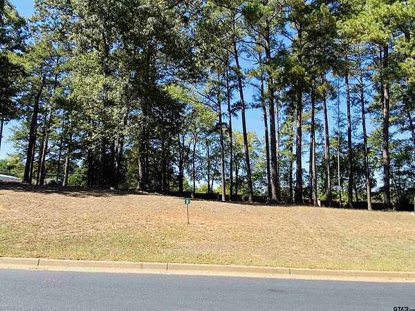 0.41 Acres of Residential Land for Sale in Frankston, Texas