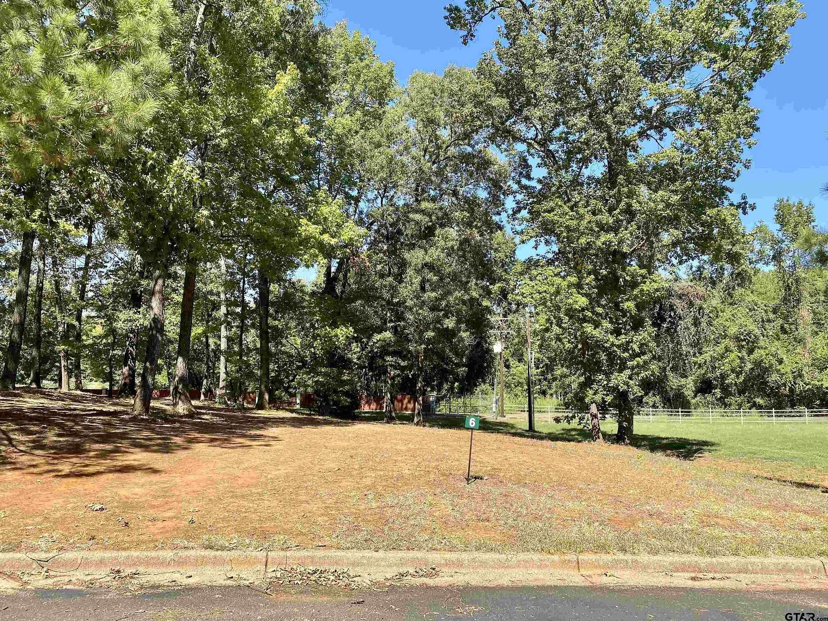 0.53 Acres of Residential Land for Sale in Frankston, Texas
