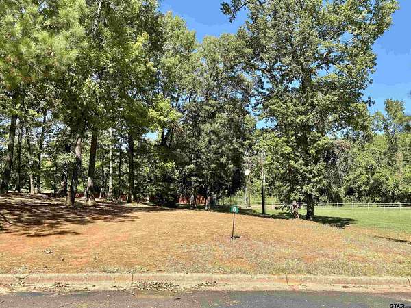0.53 Acres of Residential Land for Sale in Frankston, Texas