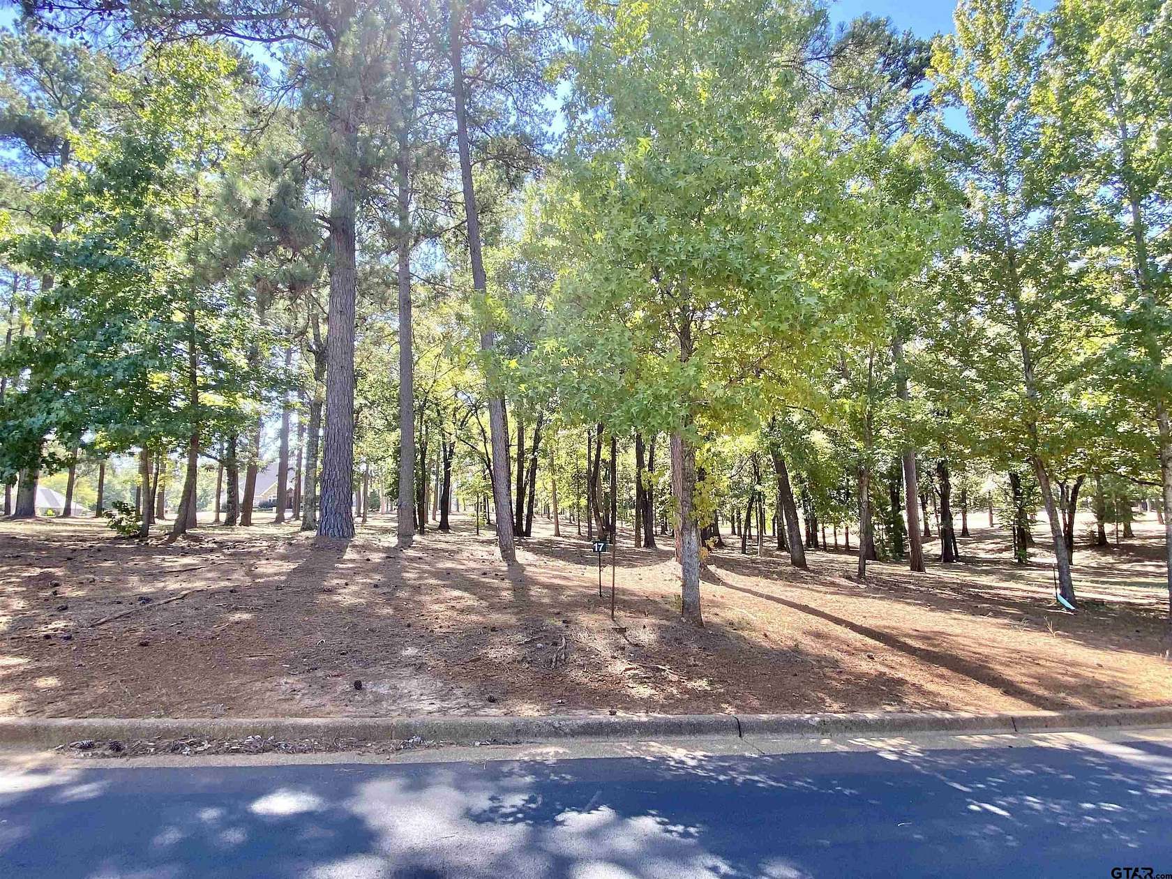 0.46 Acres of Residential Land for Sale in Frankston, Texas