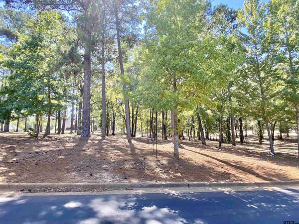 0.46 Acres of Residential Land for Sale in Frankston, Texas