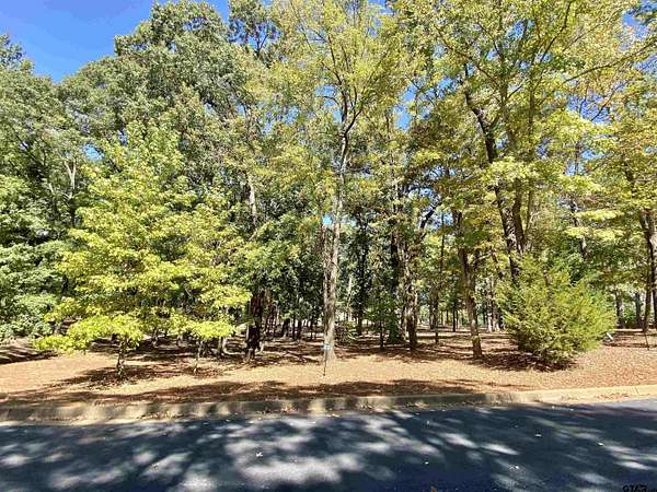 0.38 Acres of Residential Land for Sale in Frankston, Texas