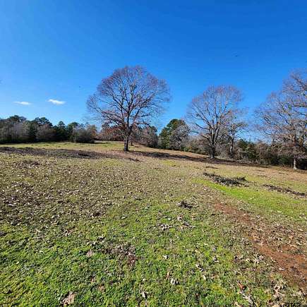 17 Acres of Land for Sale in Jacksonville, Texas