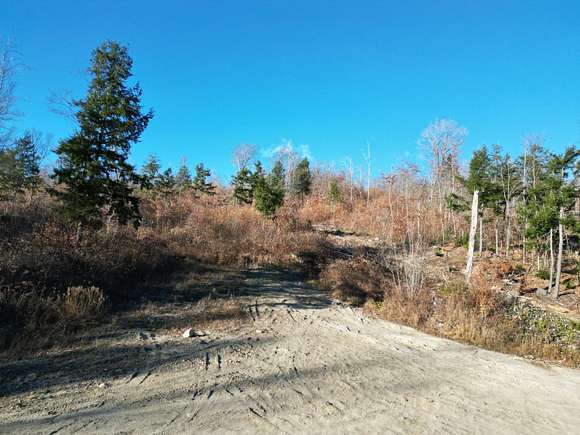 45.99 Acres of Recreational Land for Sale in Springfield, Maine