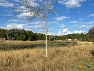 10.01 Acres of Land for Sale in Caldwell, Texas