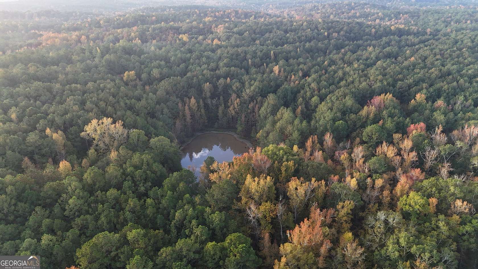 235.5 Acres of Recreational Land for Sale in Talbotton, Georgia