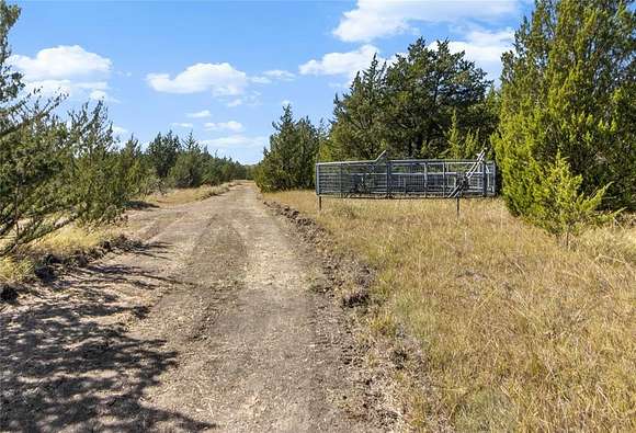 25.113 Acres of Recreational Land for Sale in Cooper, Texas