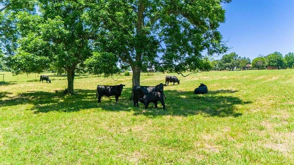 71.5 Acres of Agricultural Land with Home for Sale in Celeste, Texas