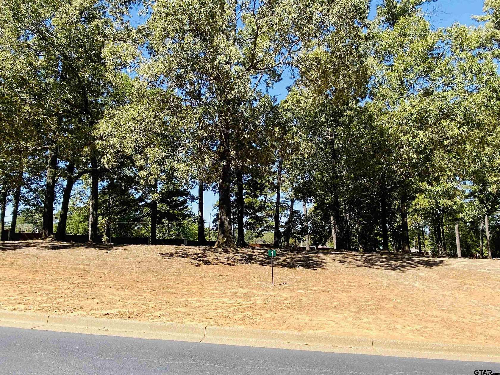 0.45 Acres of Residential Land for Sale in Frankston, Texas