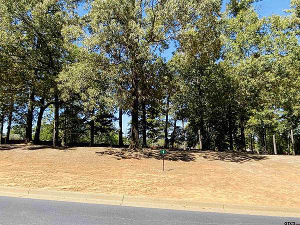0.45 Acres of Residential Land for Sale in Frankston, Texas