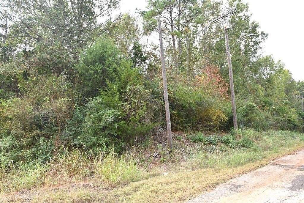 1.2 Acres of Land for Sale in Palestine, Texas