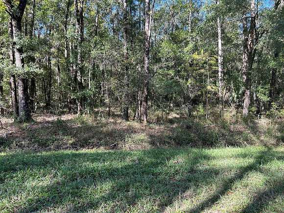 1.14 Acres of Land for Sale in Hastings, Florida