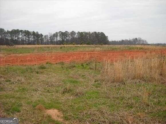 10.1 Acres of Land for Sale in Milner, Georgia